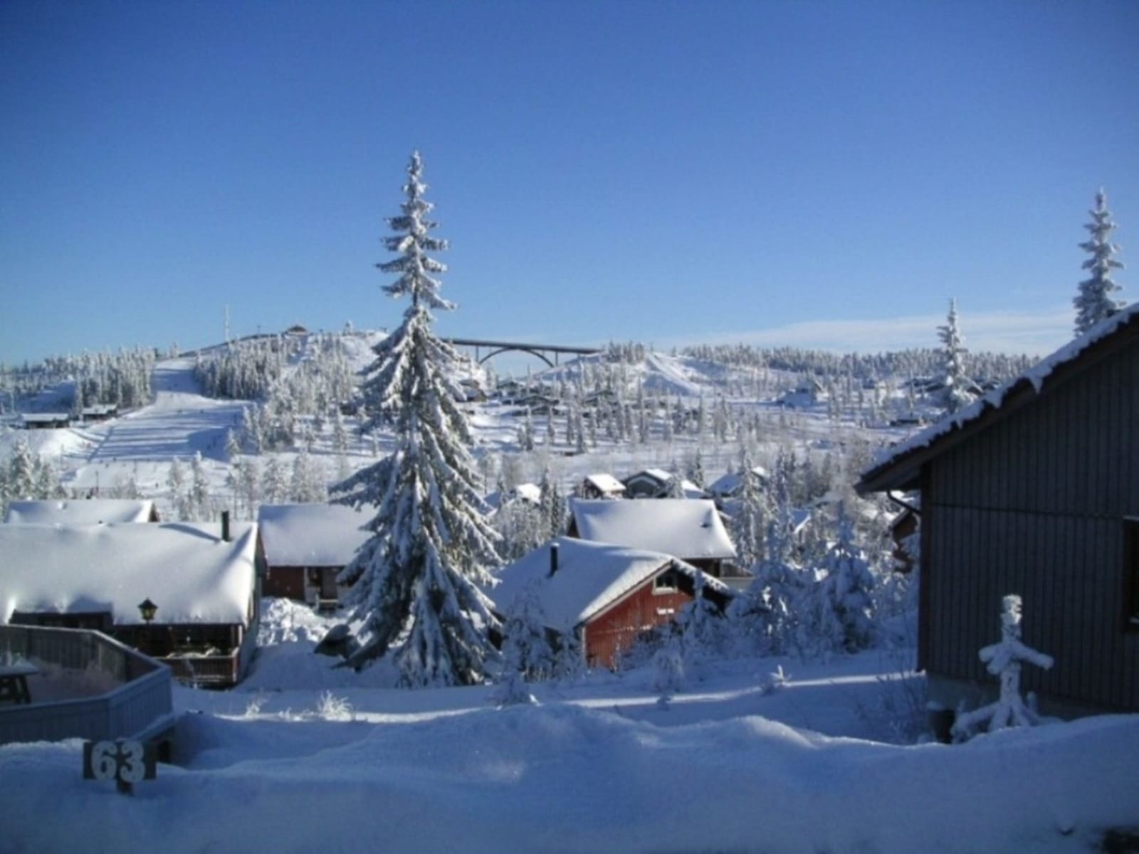 Björnen Plus