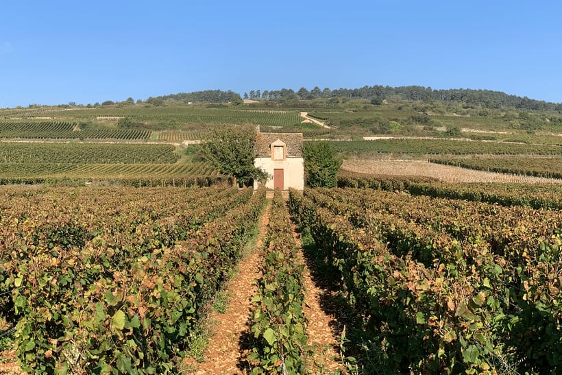 Sykkelferie i Bourgogne, 5 dager