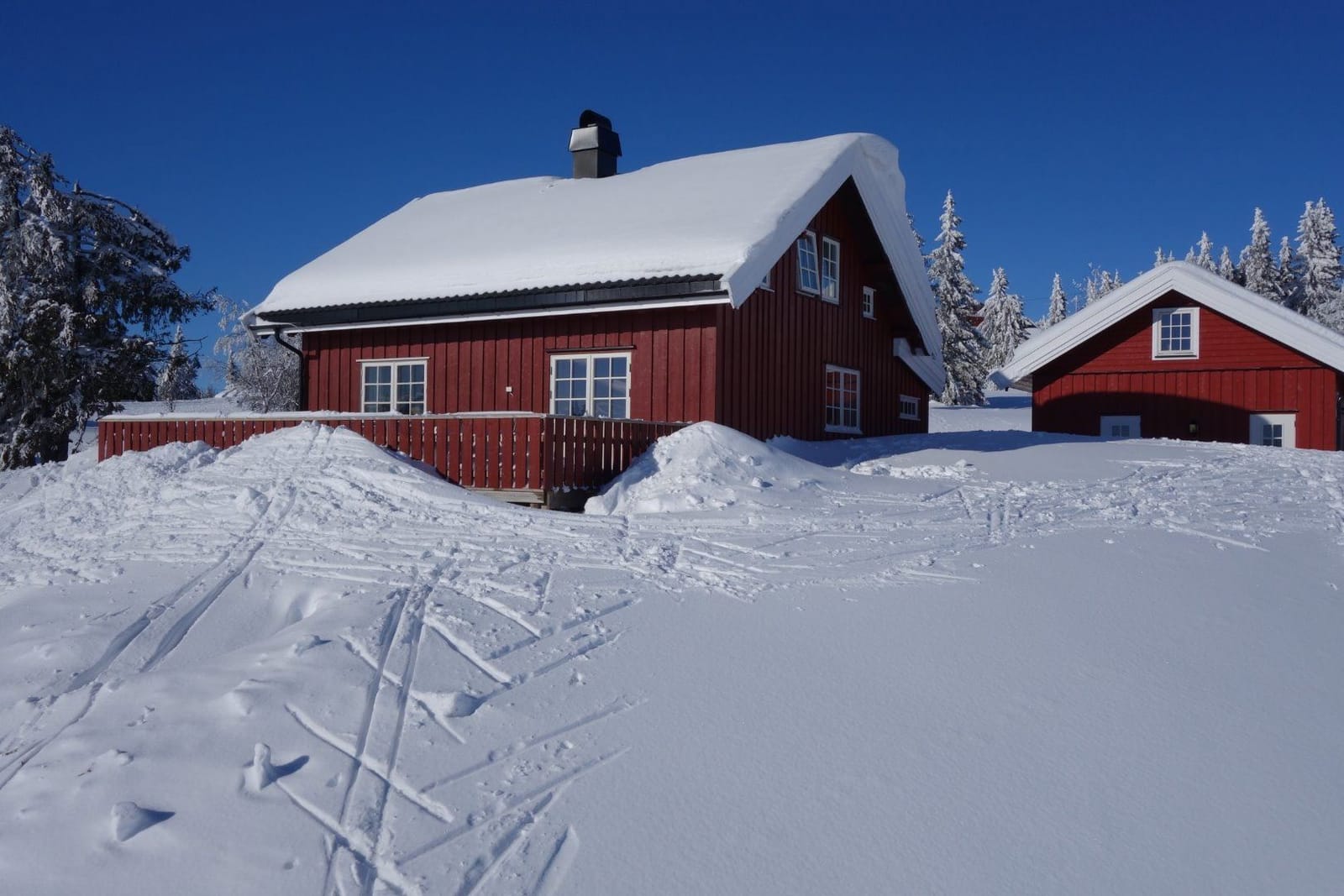 Langbakkgutua