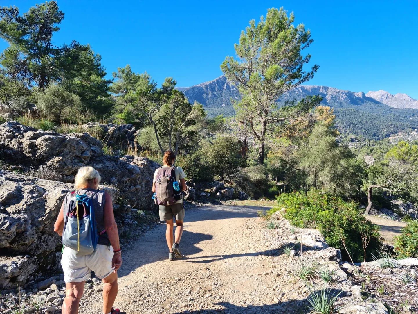 Alcudia, Mallorca