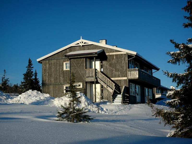 Fjellrypa