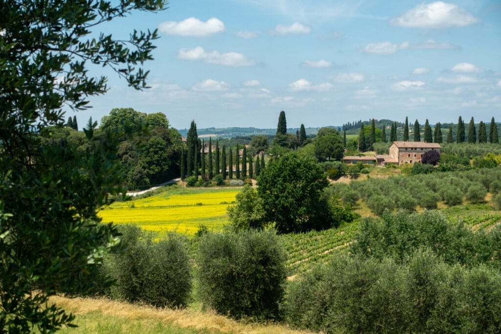 Hotel i Castellina in Chianti & vingård i Trequanda