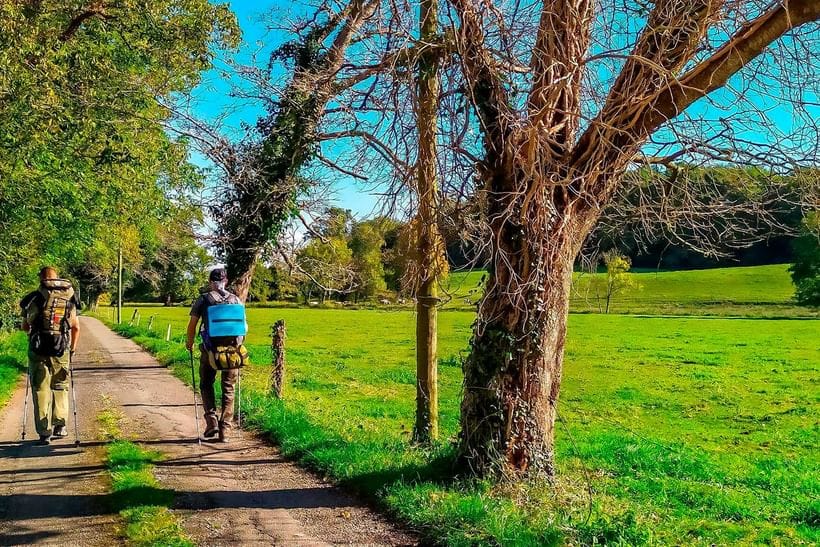 Camino Primitivo ➤ hele ruten fra Oviedo til Santiago