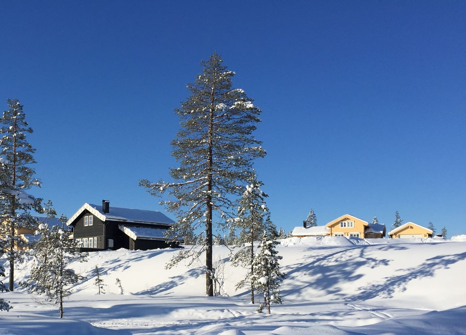 Incheckning & Servicepunkt (Orren, Hjorten, Räven)