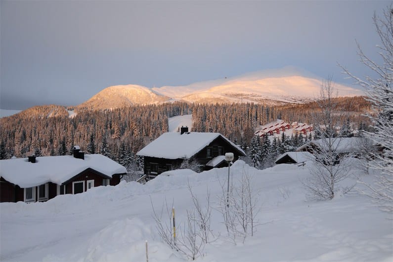 älgen