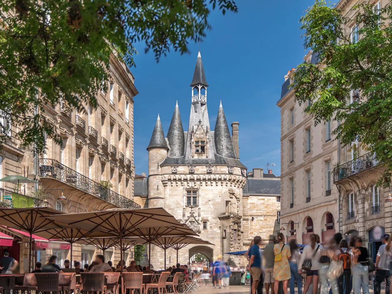 Bordeaux & rødvin