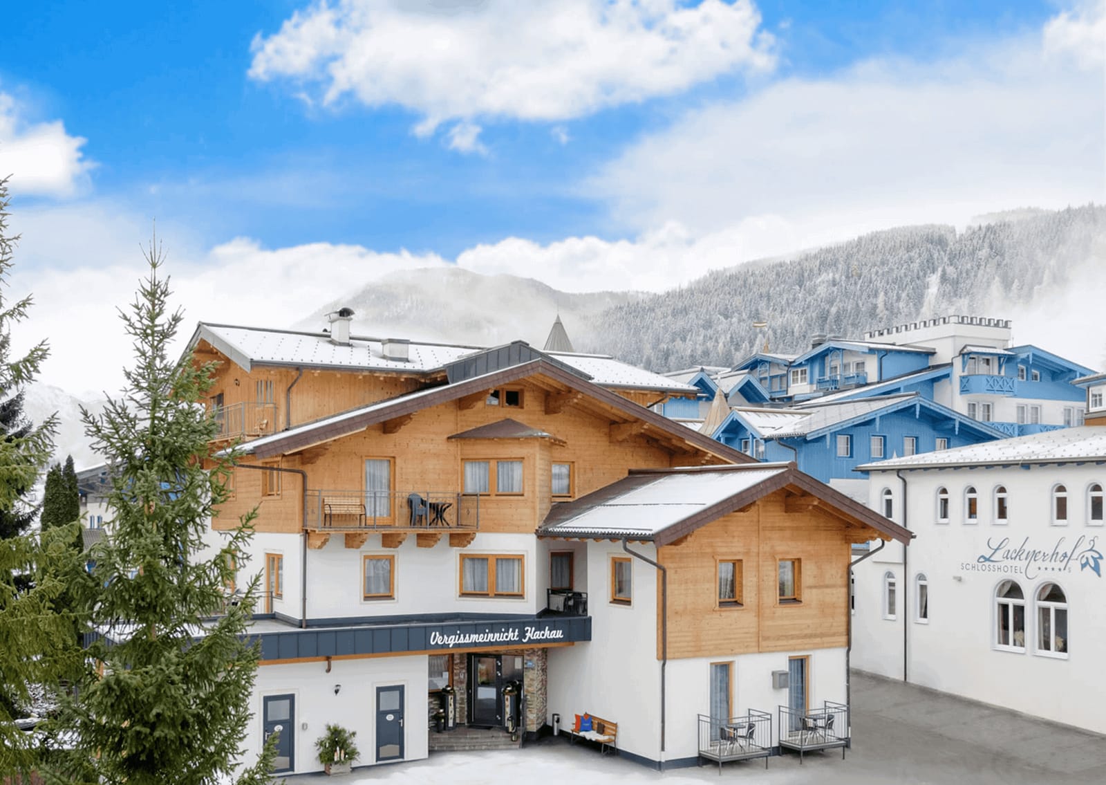 Vergissmeinnicht Flachau