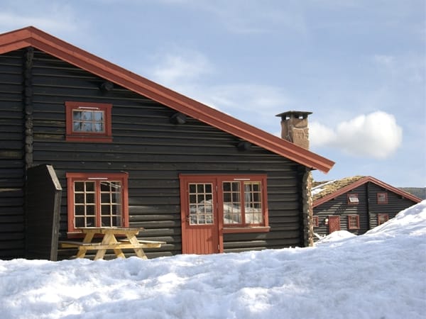 Vikinggrenda