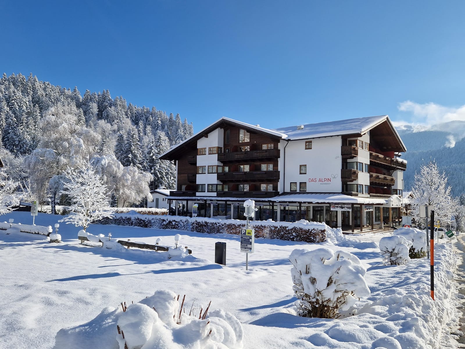 Hotel Alpin Scheffau
