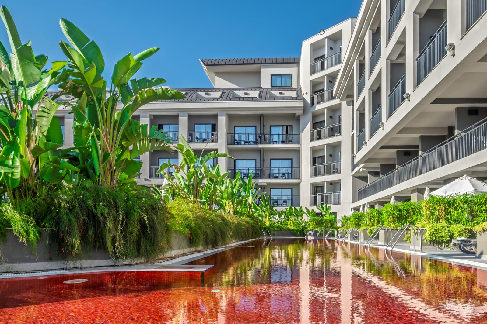 The X Belek