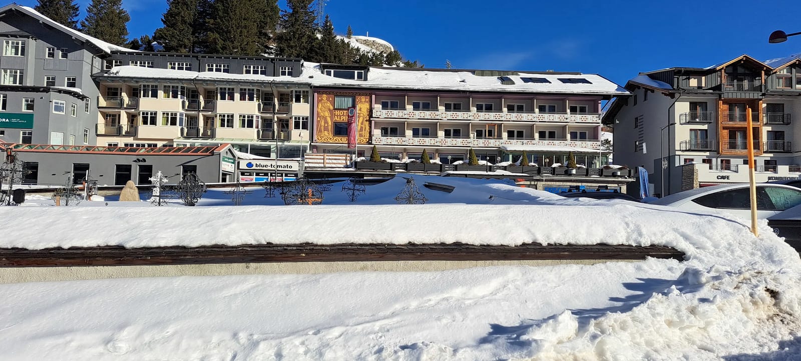 Hotel Alpina