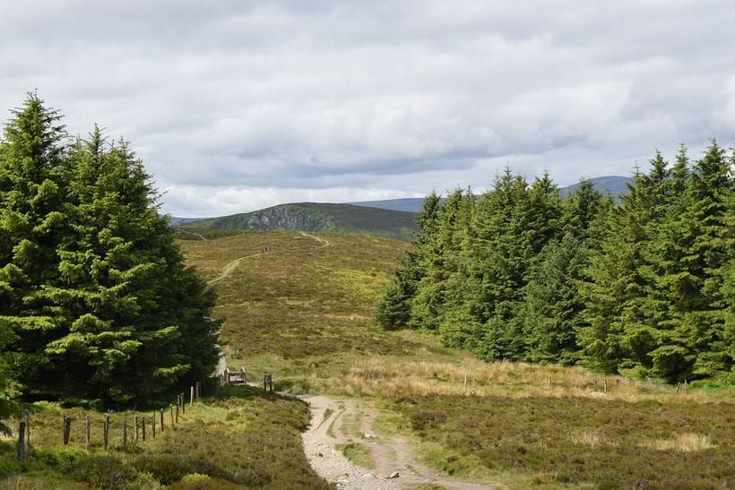 Walking the Wicklow Way