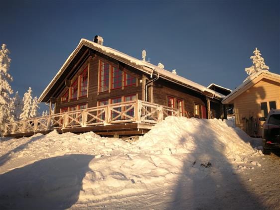 Skogsbyn