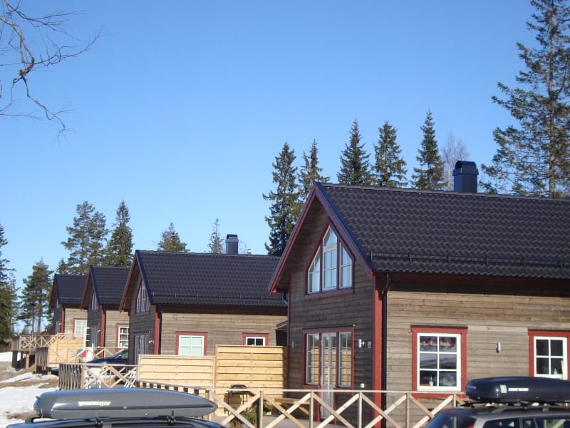 Vargen Branäs