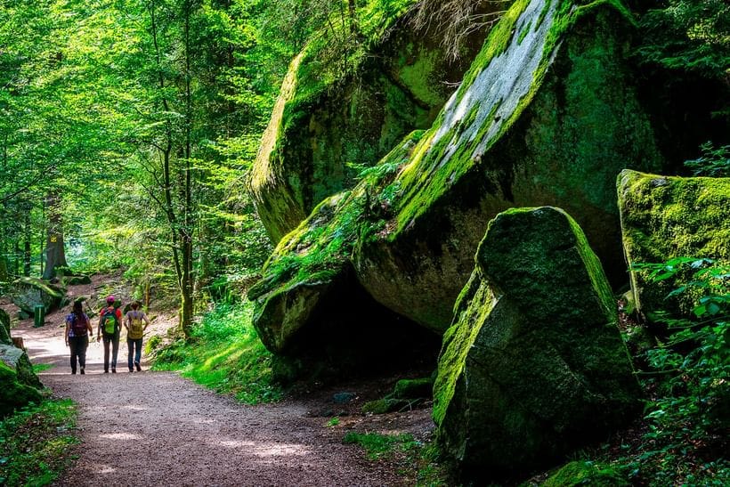 Vandreferie fra Schwarzwald til Bodensee