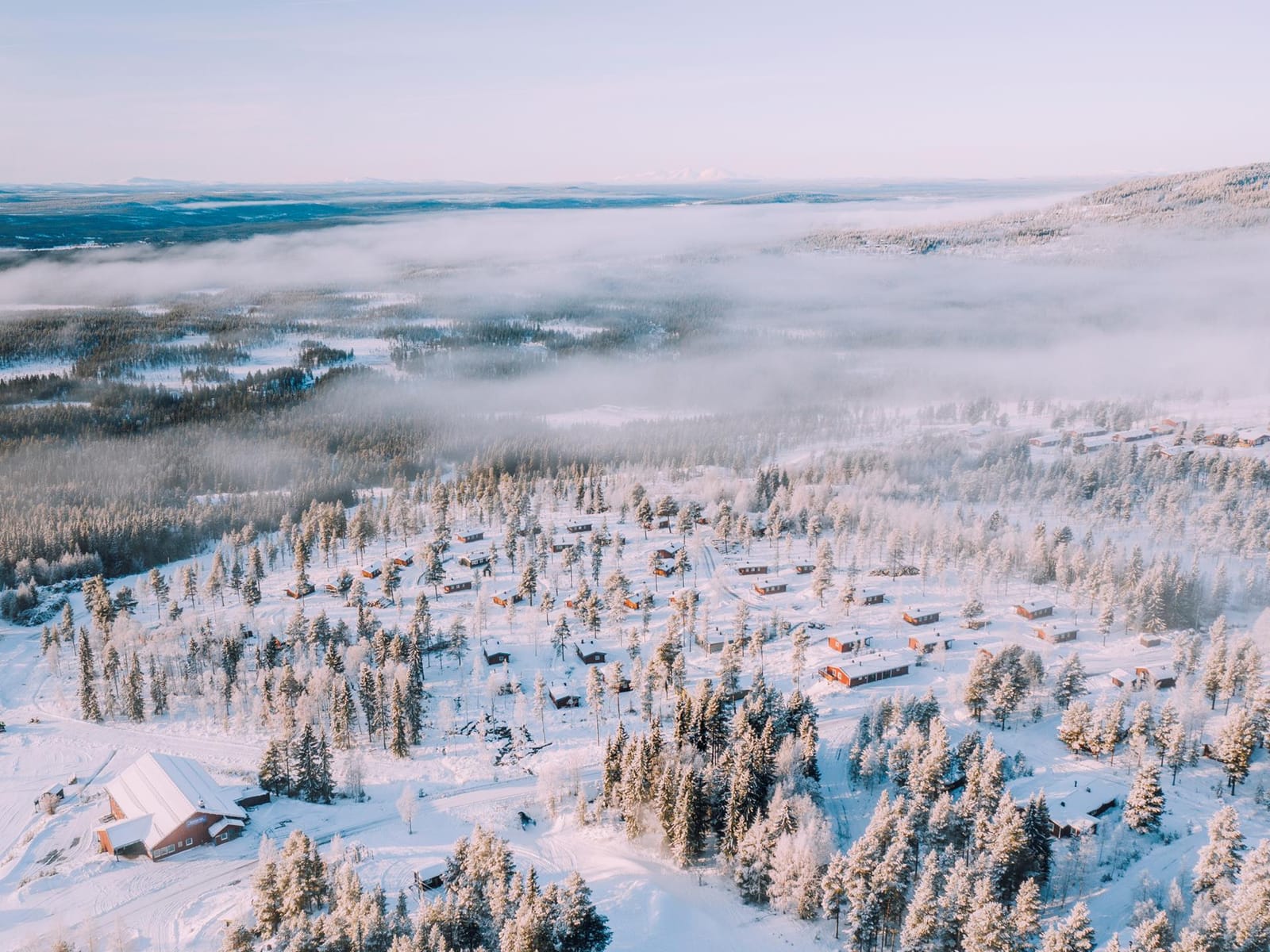 Skogsslingan