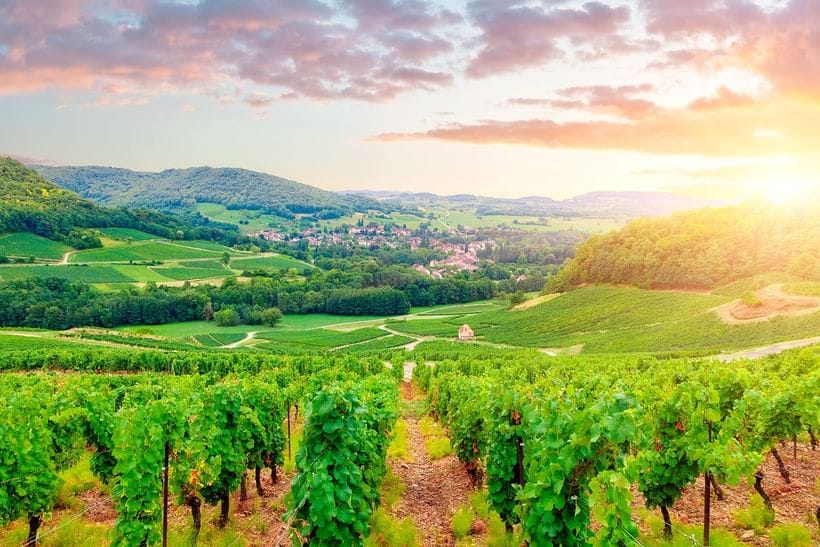 Sykkelferie i Bourgogne, 4 dager