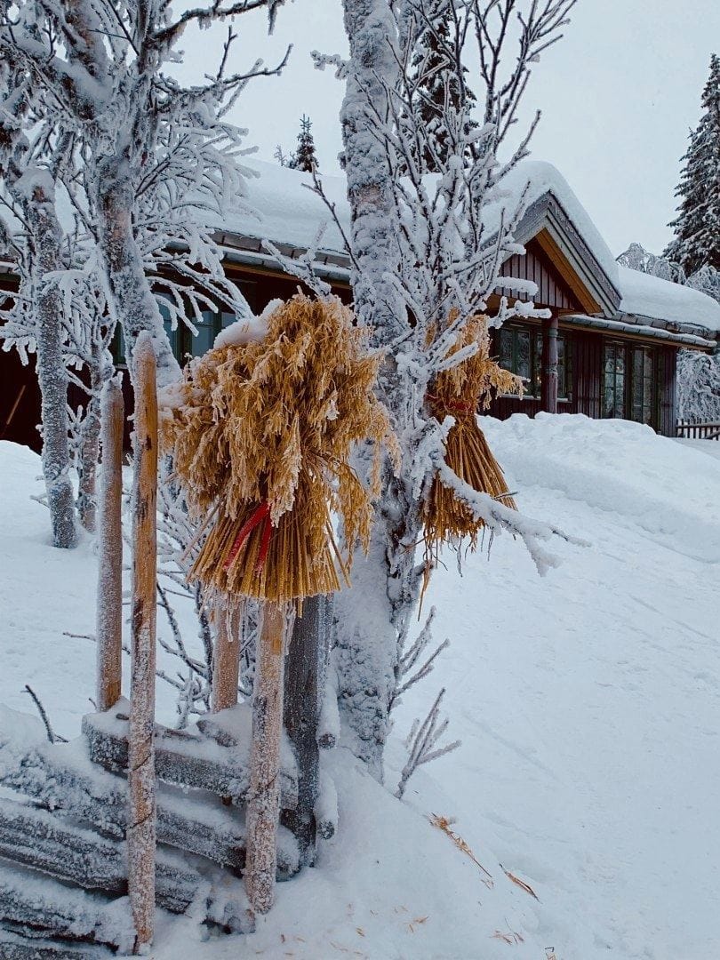 Gålålia 171