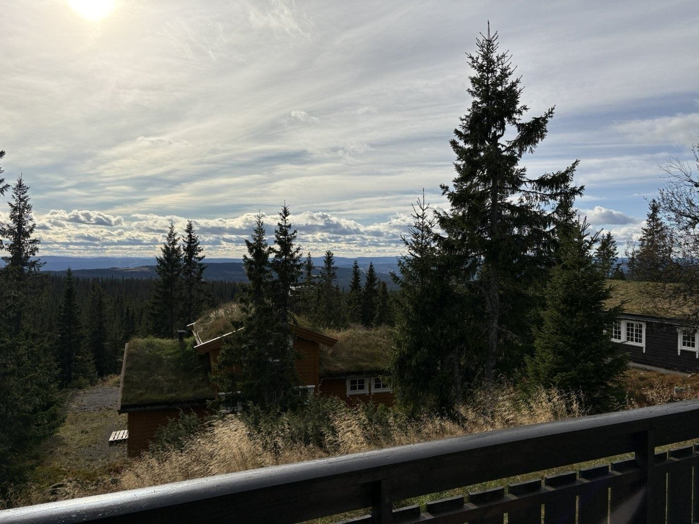 B2709 Fjellsyn