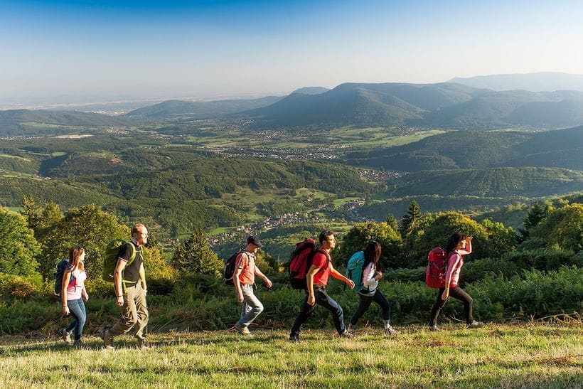 Vosges-bjergene & vingårdene i Alsace