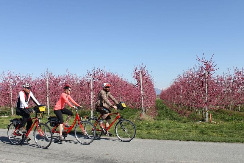 Cykelferie i Piemonte