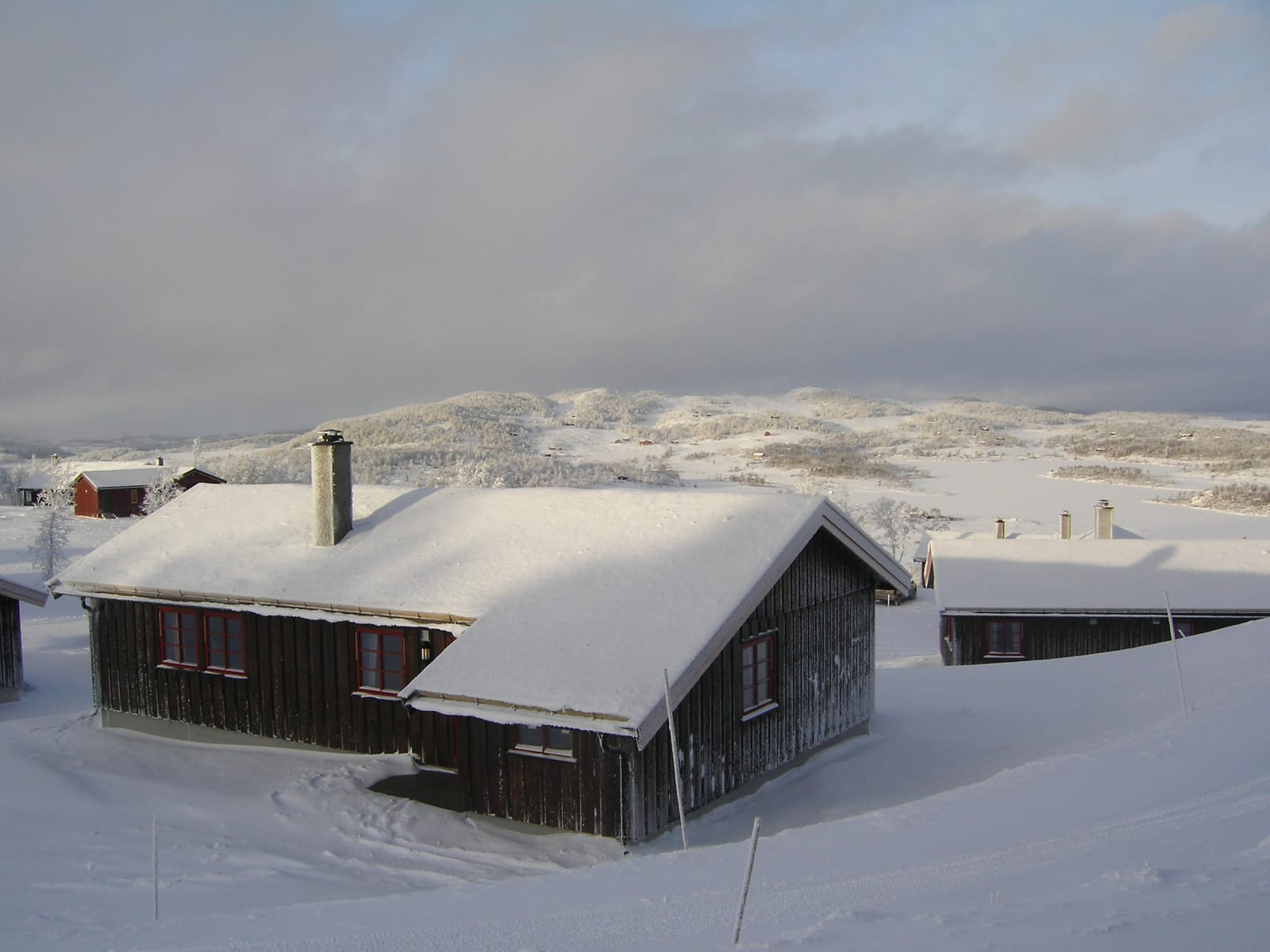 Fjellsyn