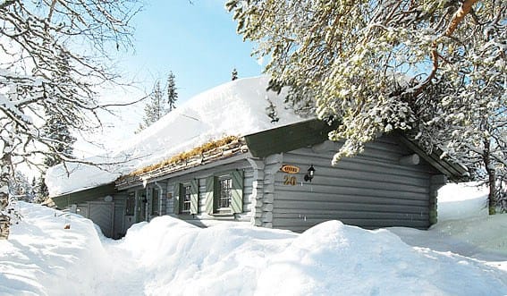Bjørnevegen