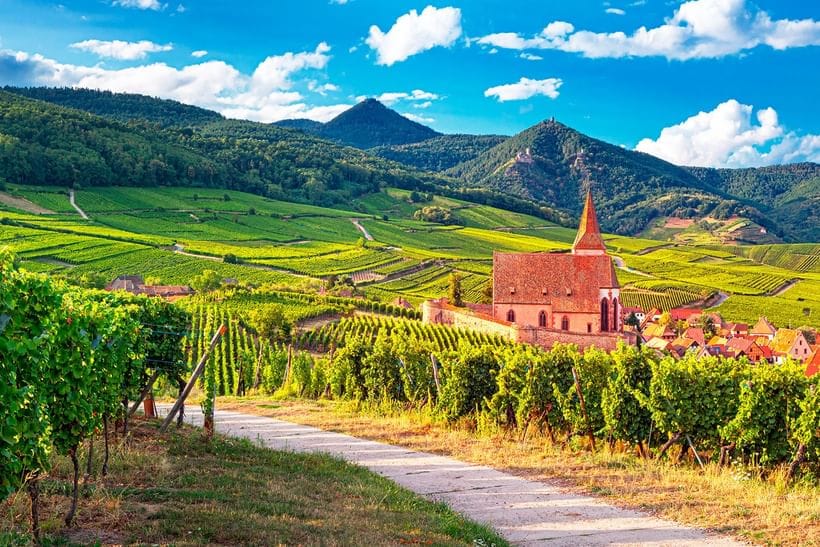 Cykelferie i Alsace - 7 dage - Kategori B