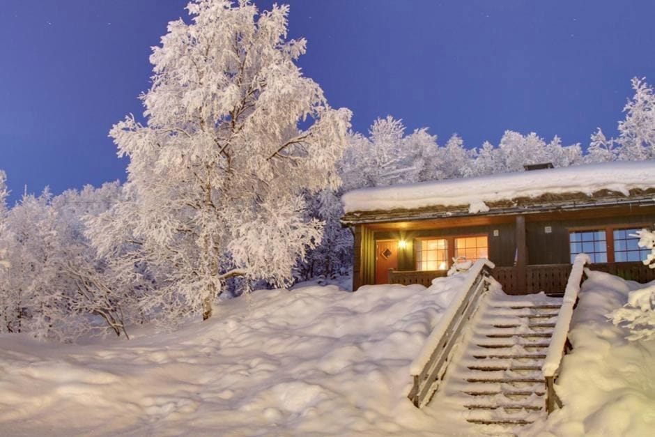 Hovi Cabin