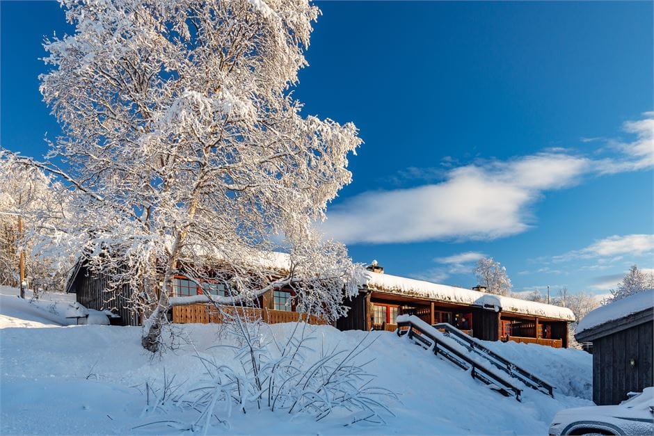 Hovi Cabin