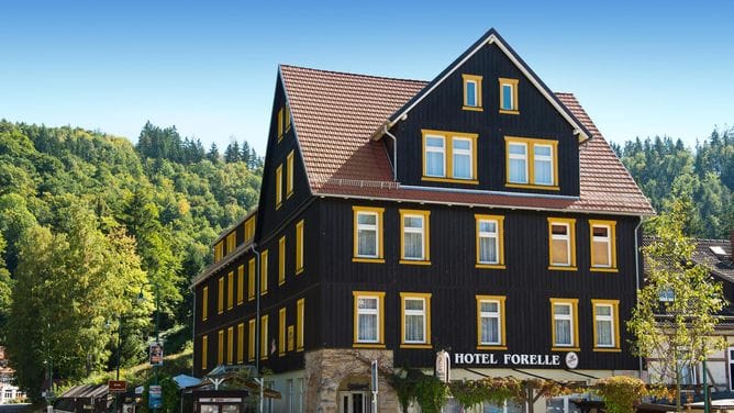 Hotel & Ferienhotel Forelle