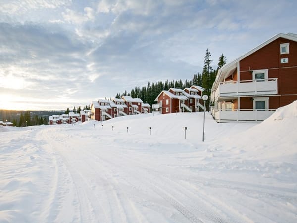 Vargen
