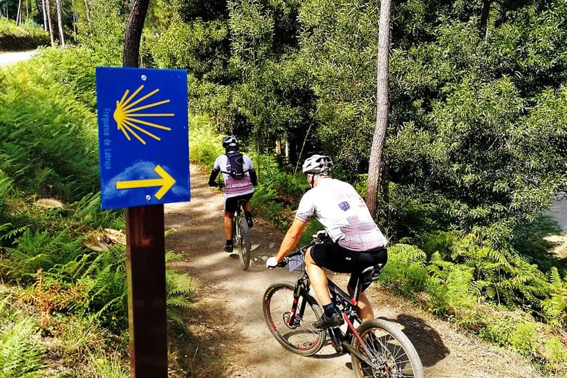 Cykelferie på Caminoen ➤ Porto til Santiago via den centrale rute