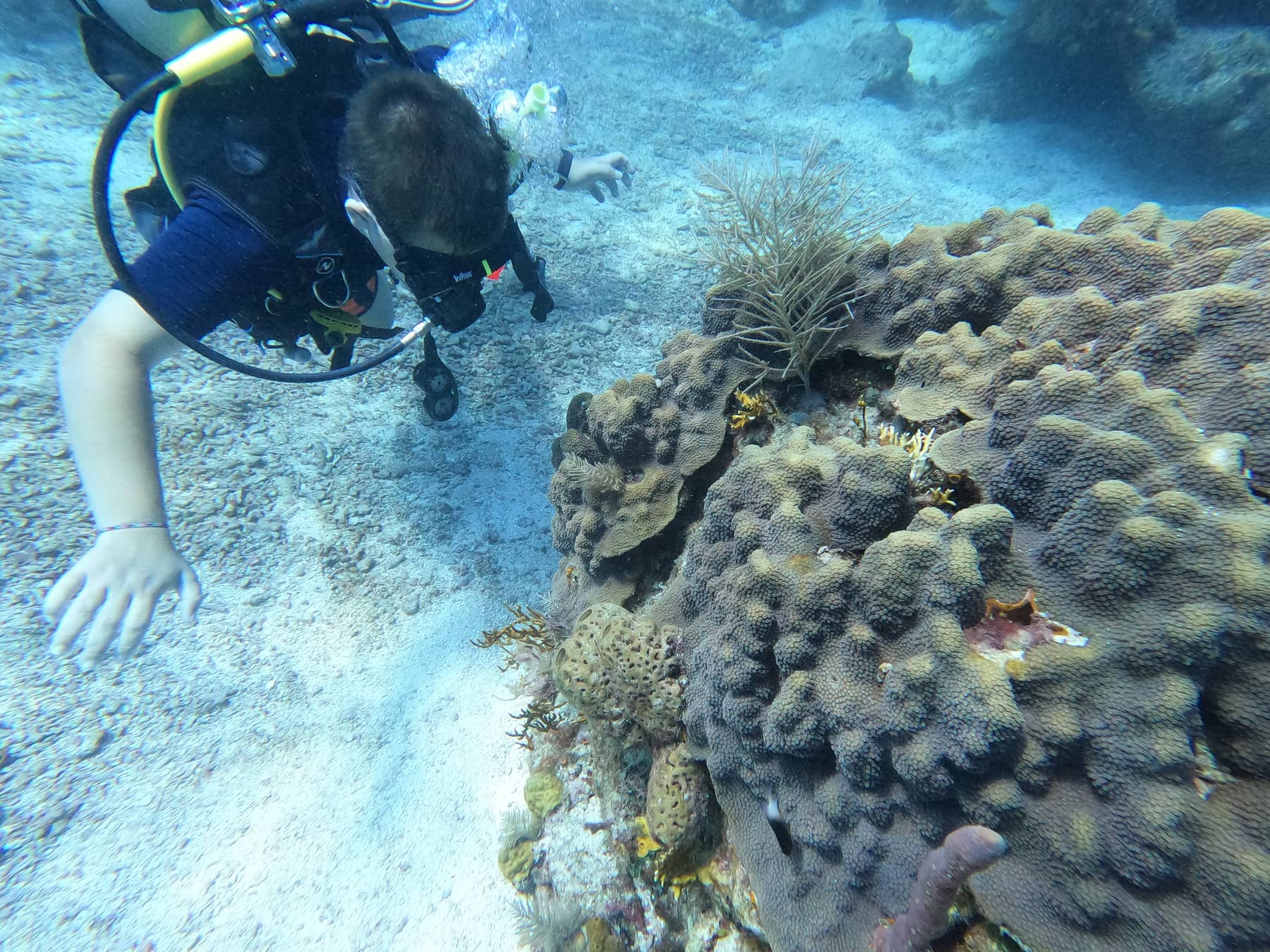 Dykning for begyndere - UCPA Lanzarote