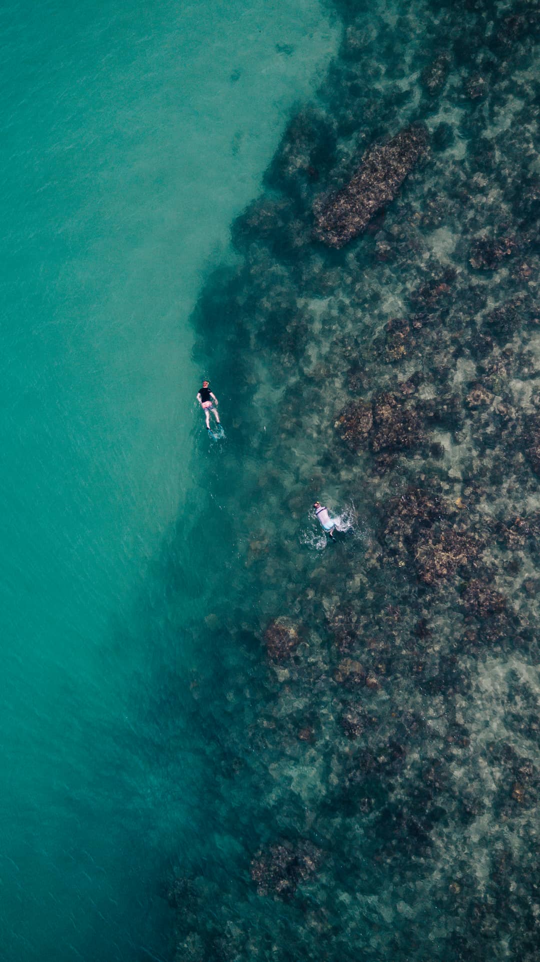 Borneo - Derawan Øhavet - Grupperejse - 24. Aug 2027
